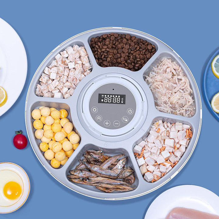 Automatic Feeder Smart Dog Food Dispenser