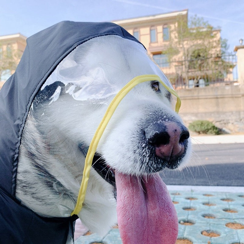 Keep Your Pet Dry and Stylish: The Ultimate Waterproof Raincoat