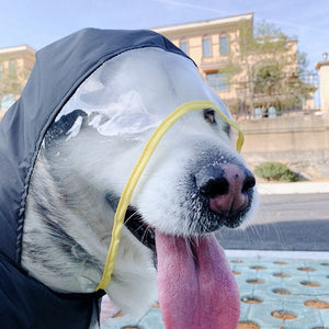 Keep Your Pet Dry and Stylish: The Ultimate Waterproof Raincoat