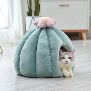 Discover the Adorable Cartoon Cactus Pet Kennel for Your Furry Friends!