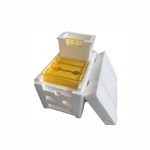 Unlock the Secrets of Successful Beekeeping with the Bird King Box Tool Set!