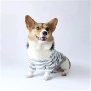 Keep Your Pet Stylish and Cozy with Our Striped Sweater!
