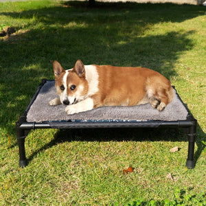 The Ultimate Camping Companion for Your Furry Friend: Foldable Pet Bed