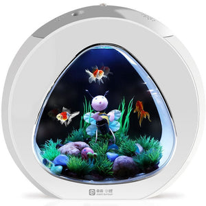 Transform Your Space with a Desktop Fish Tank Aquarium