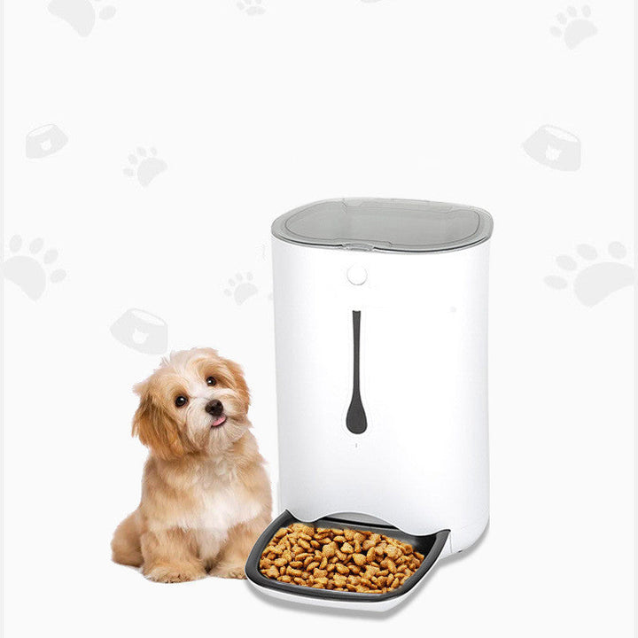 Revolutionize Feeding Time with the Timed Pet Video Automatic Feeder!