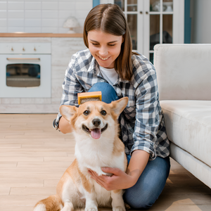 Essential Grooming Tips for a Healthy Pet