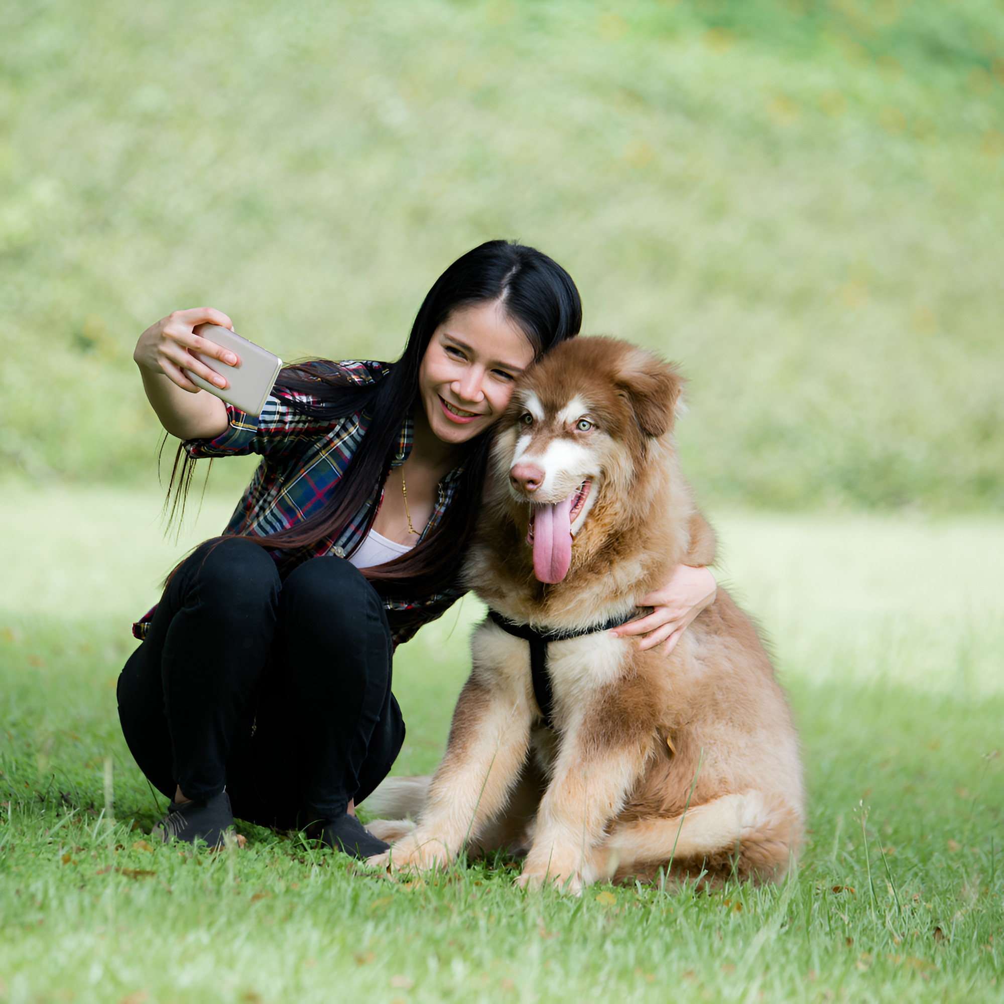 The Importance of Playtime for Pets