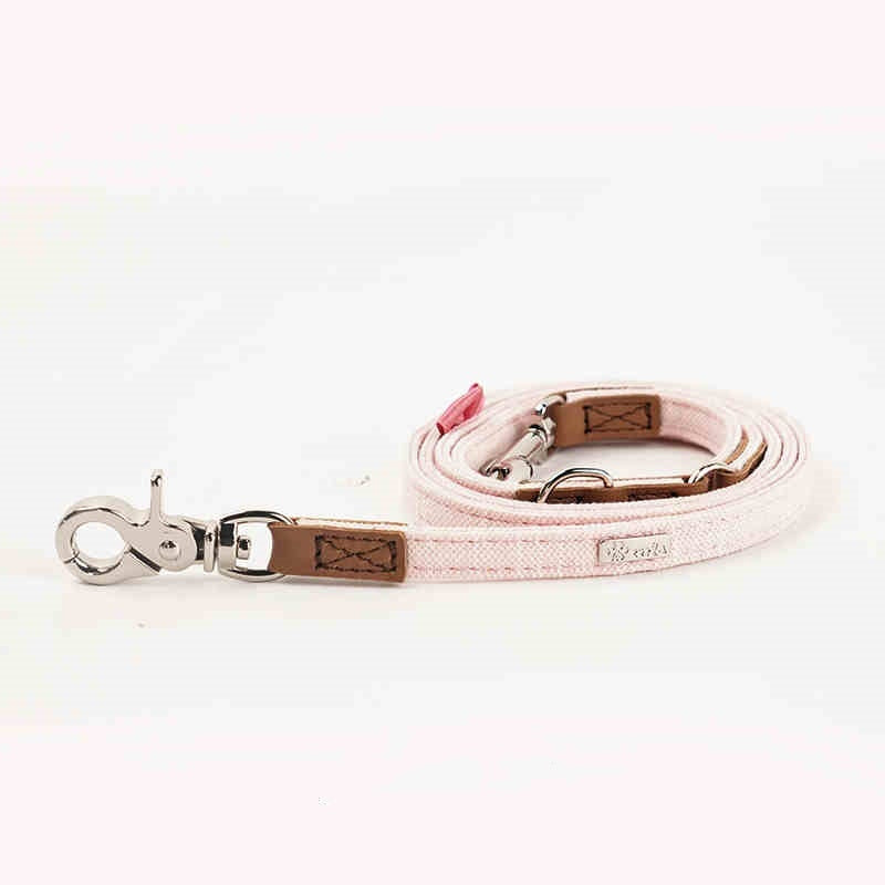 Pet Dog Hand Holding Rope