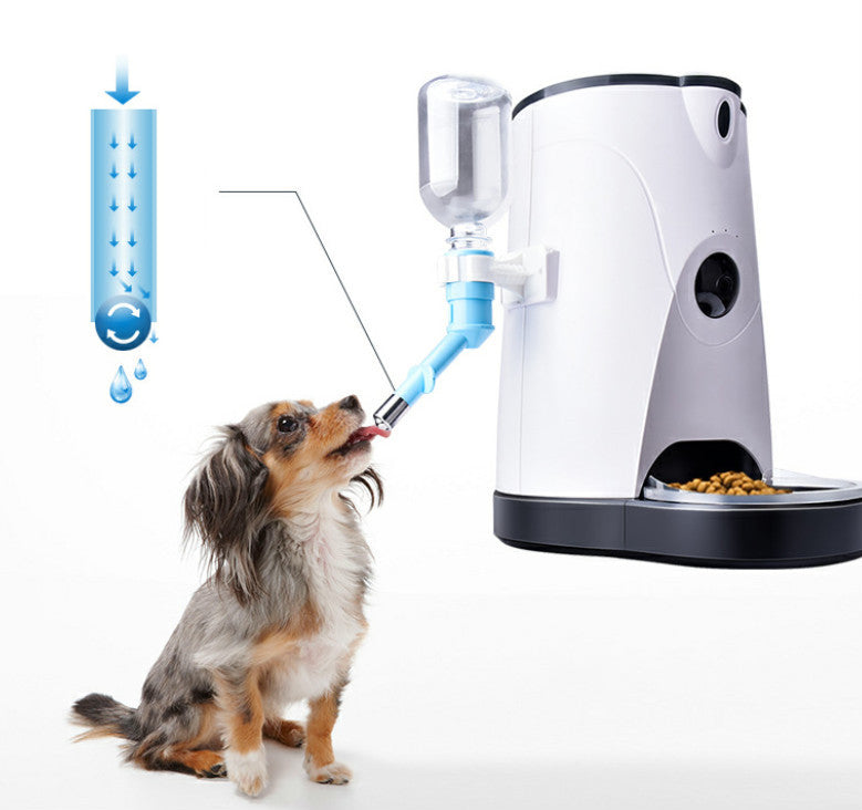 Pet Full automatic feeder