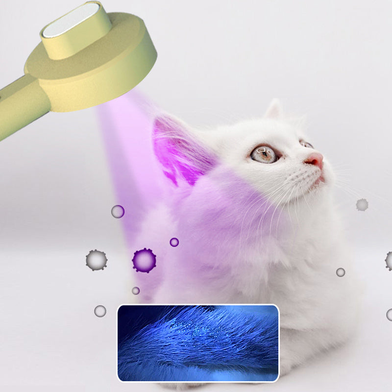 Cat Brush Grooming Tools