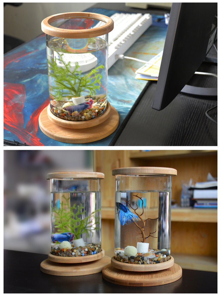 Small Office Glass Aquarium