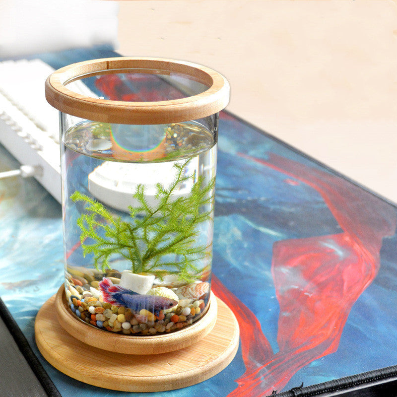 Small Office Glass Aquarium