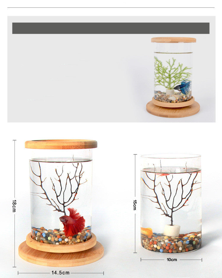 Small Office Glass Aquarium