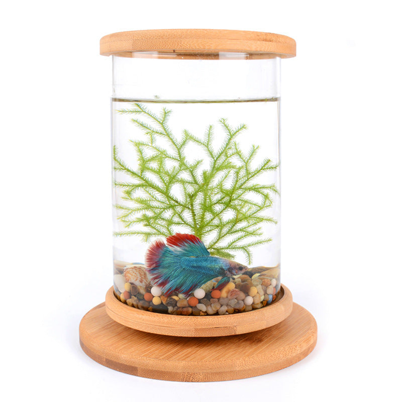Small Office Glass Aquarium