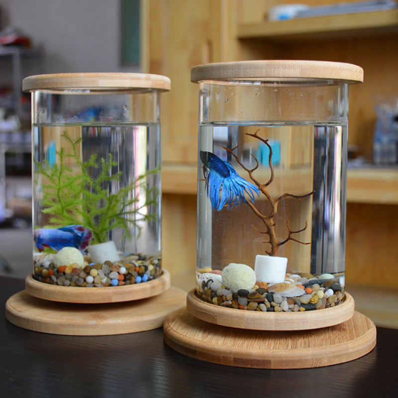 Small Office Glass Aquarium