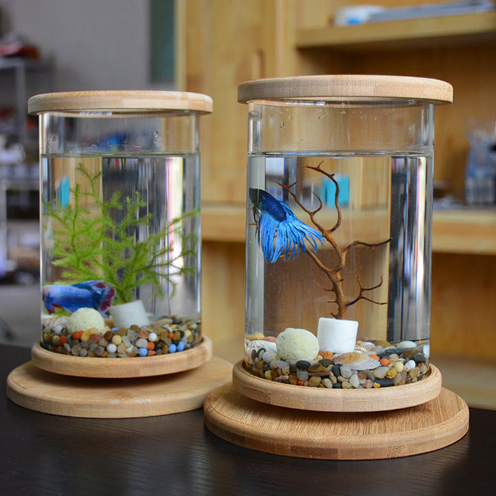 Small Office Glass Aquarium