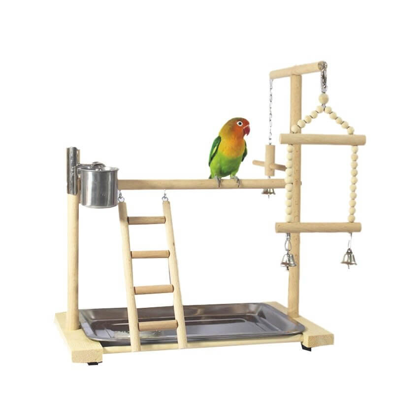 Wooden Small Parrot Standing Stand