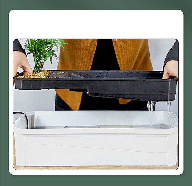 Ecological Small House Tank Breeding