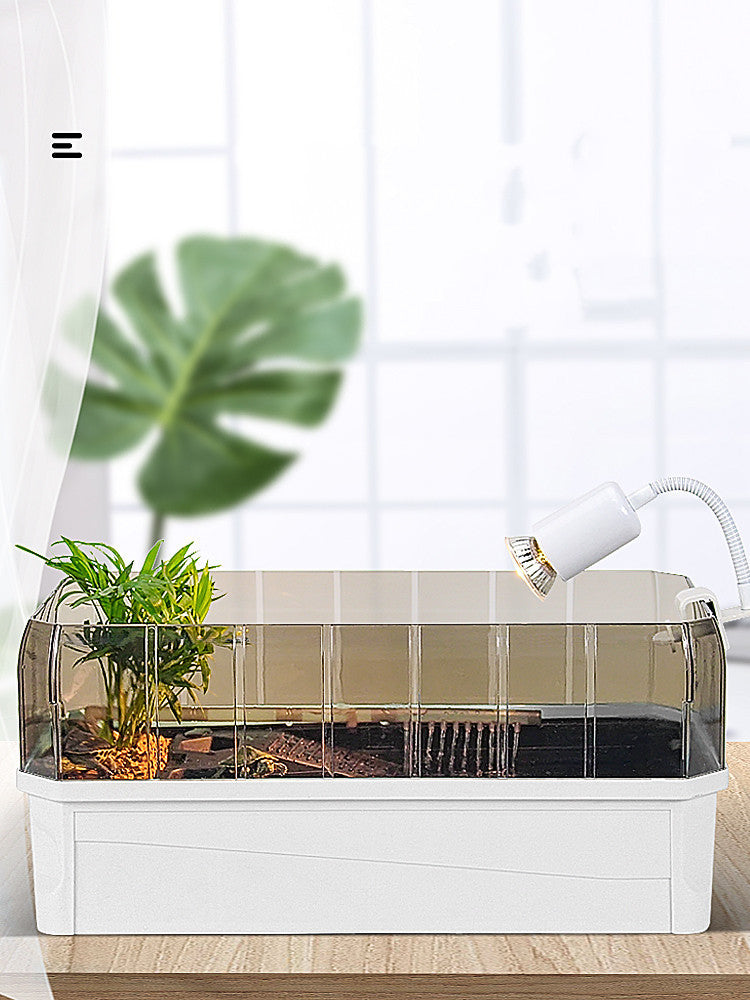Ecological Small House Tank Breeding