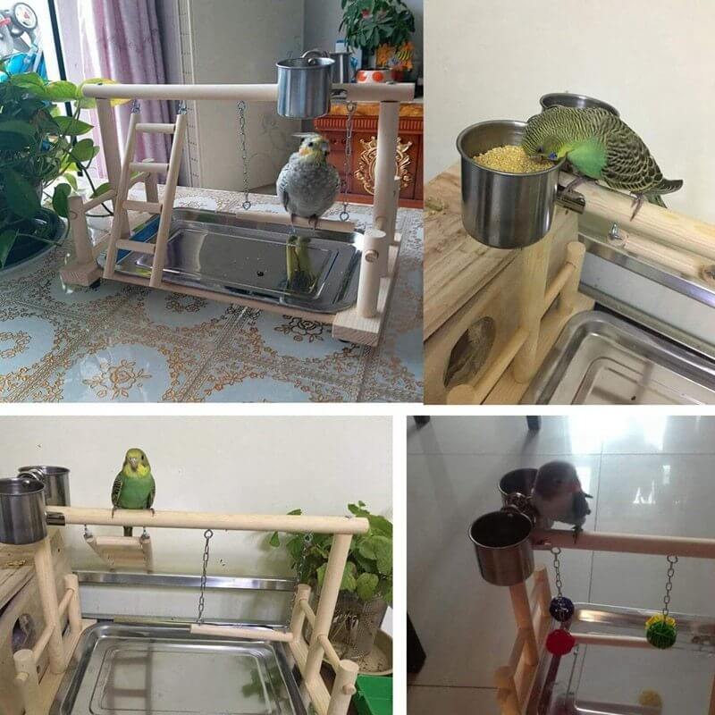 Wooden Small Parrot Standing Stand