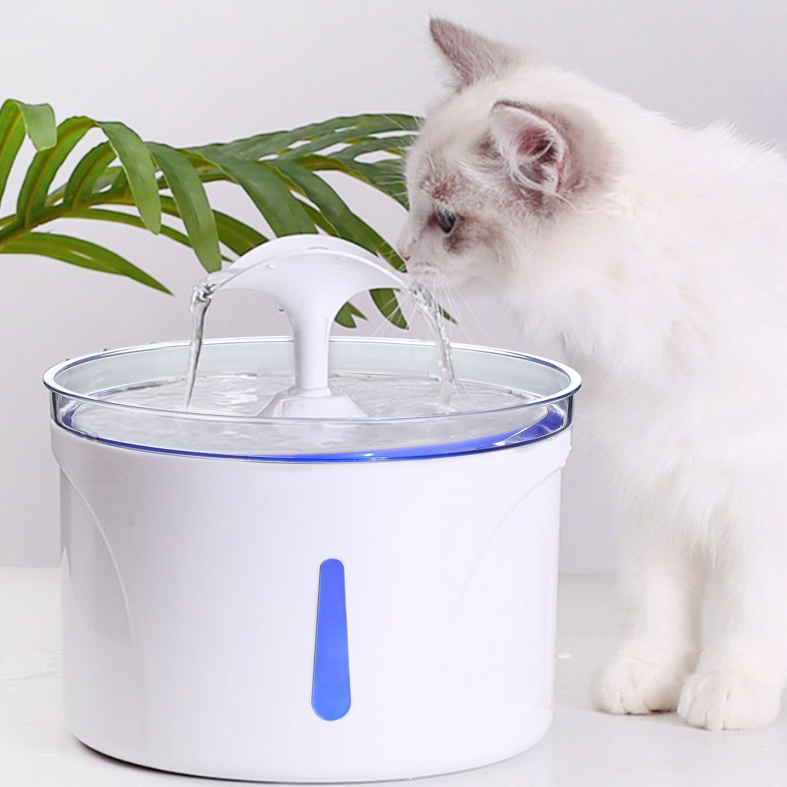 Automatic Circulating Water Pet Feeder