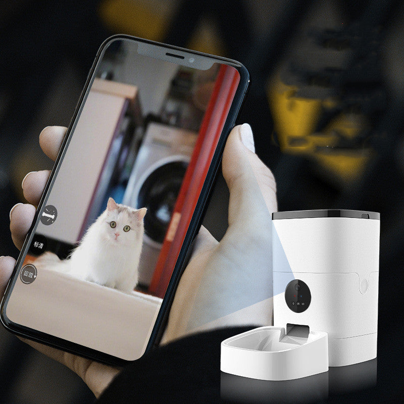 Pet automatic feederr