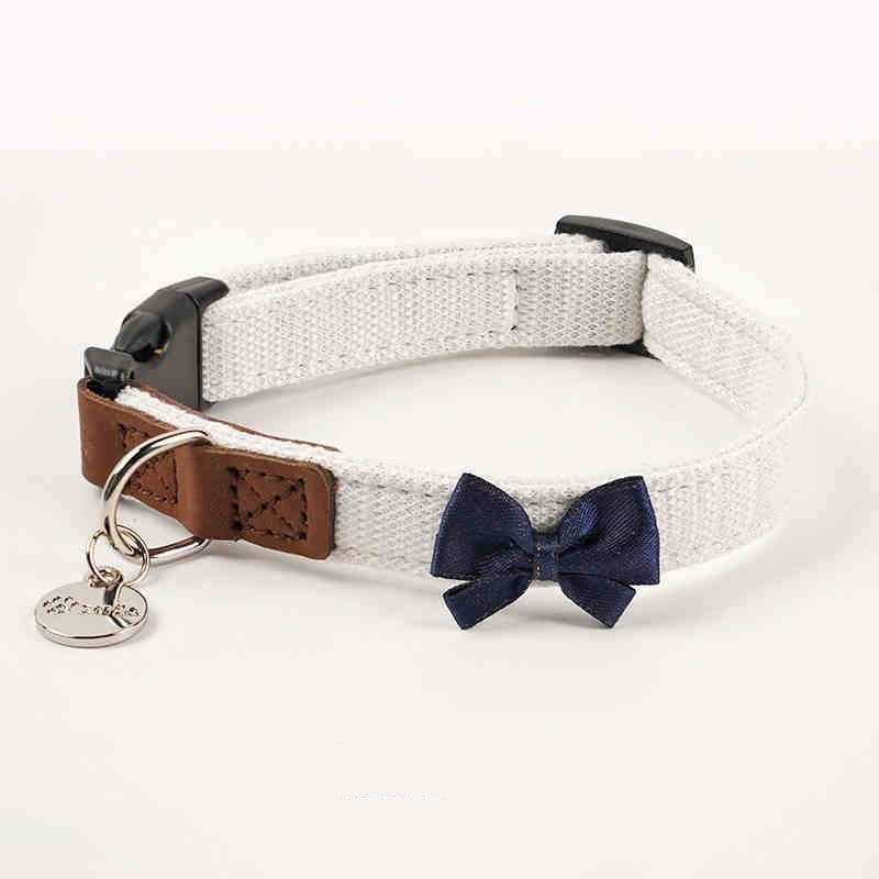 Pet Dog Hand Holding Rope