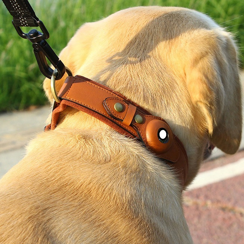 Leather Dog Pet Collar