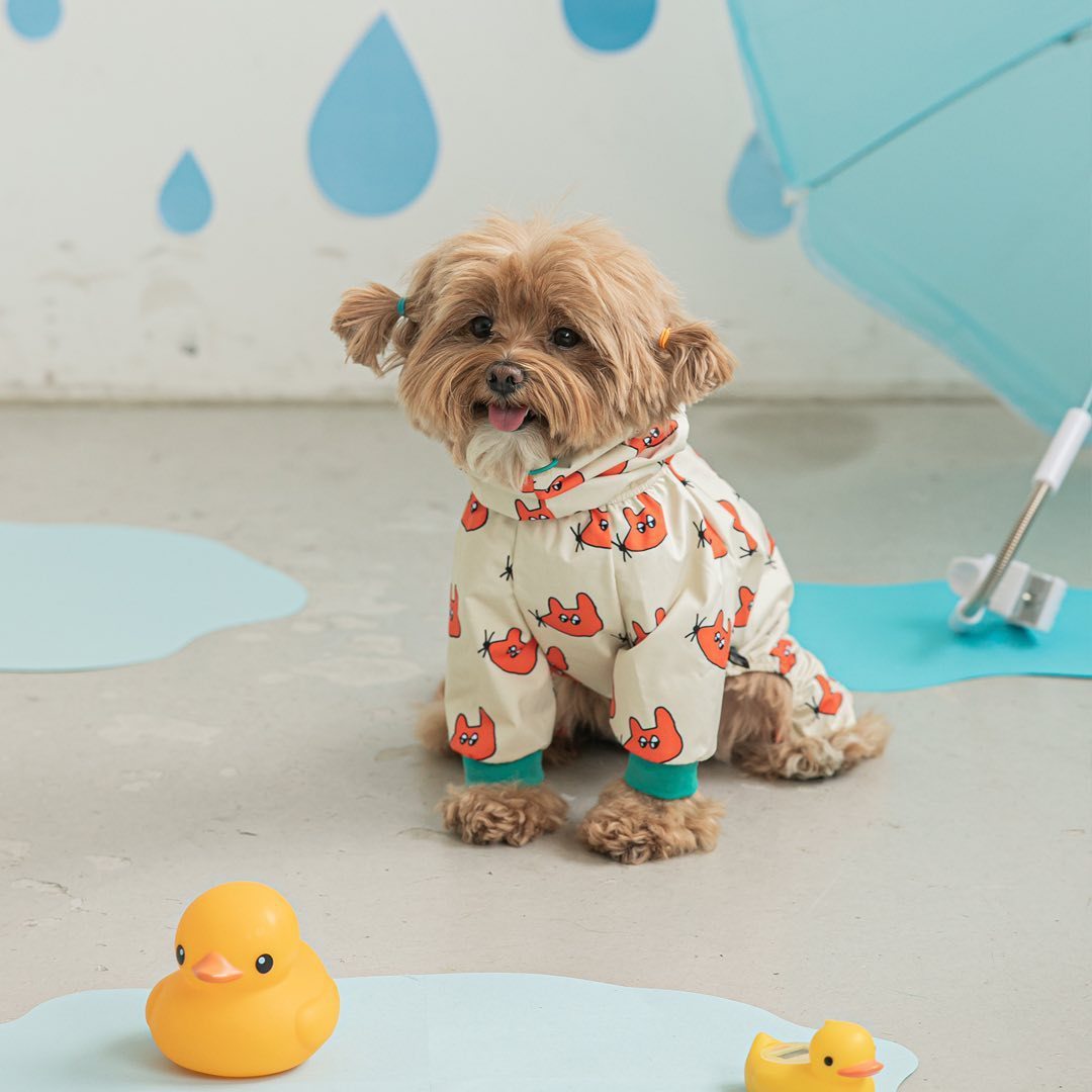 Fashion Pet Dog All-around Raincoat