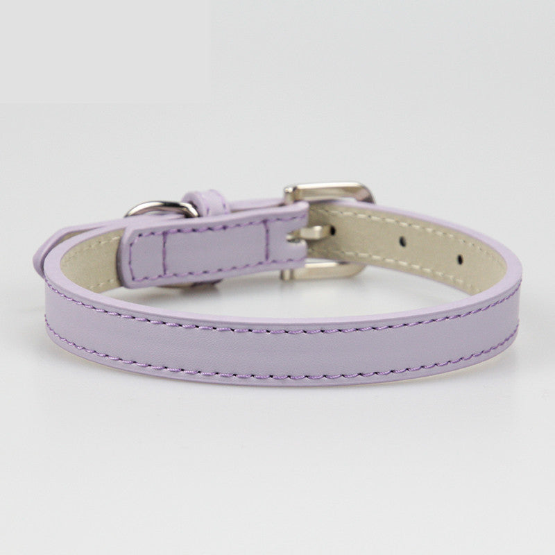 Leather Teddy Pet Dog Collar