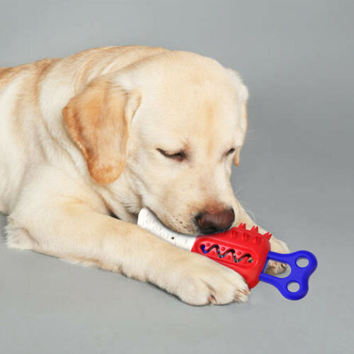 Floatable Pet Dog Cleaning Teeth Chew Toys