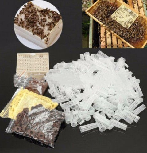 Bird Brown Base Abutment Cover