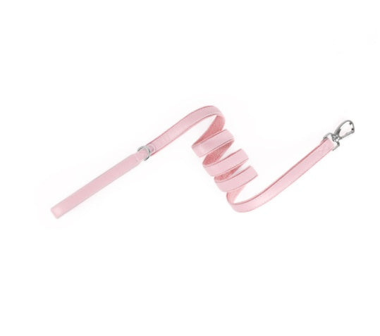 Airtag Pet Collar Leather Collar