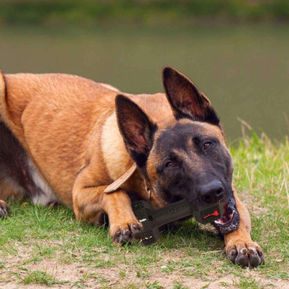 Toys For Aggressive Chewerse Dogs