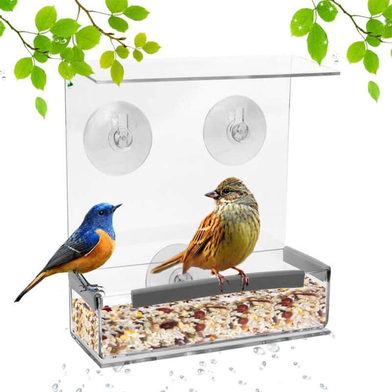 Acrylic Bird Feeder