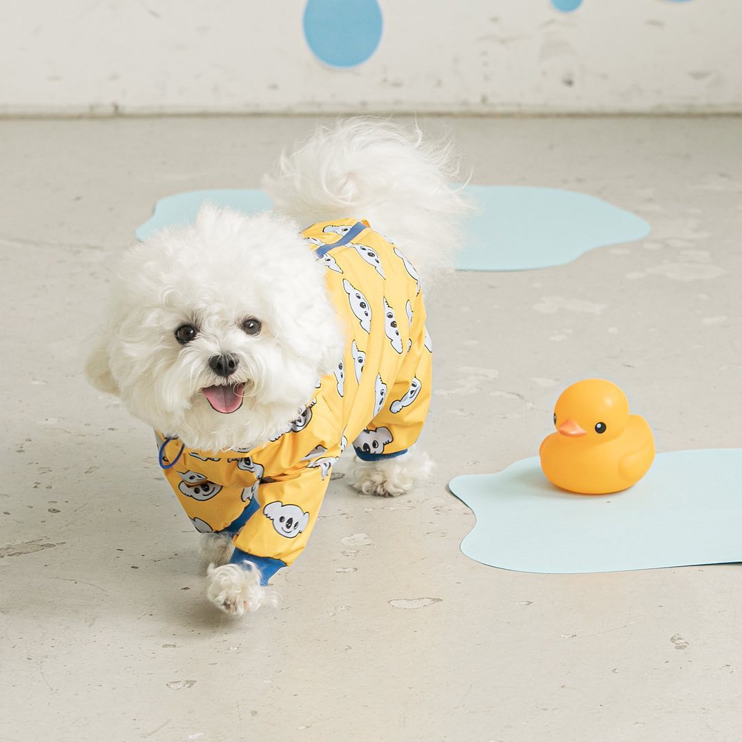 Fashion Pet Dog All-around Raincoat