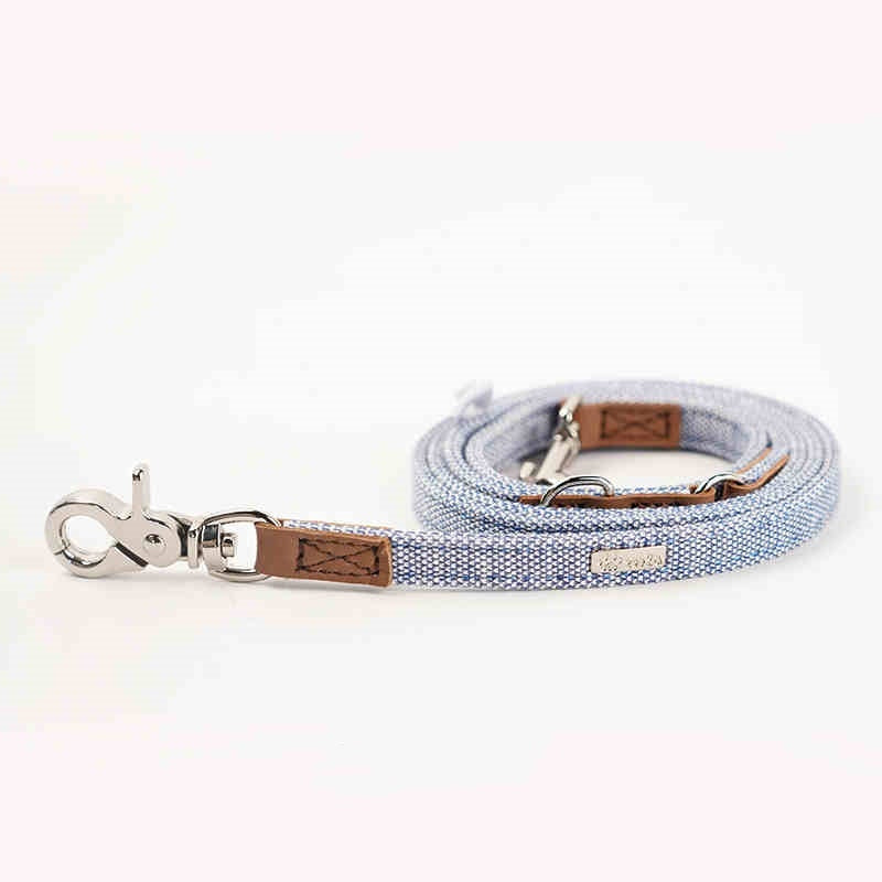 Pet Dog Hand Holding Rope