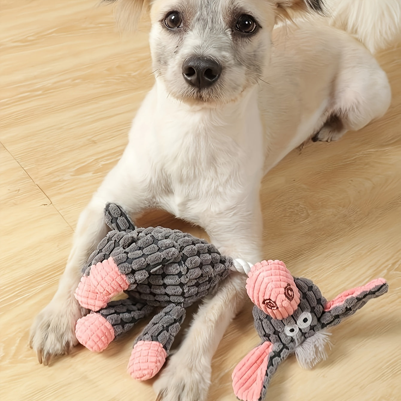 Plush Dog Chew Toys With Squeakers