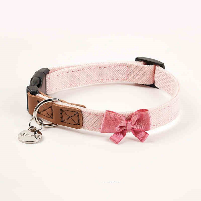 Pet Dog Hand Holding Rope