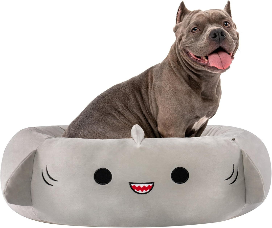Shark Pet Bed