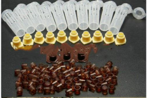 Bird Brown Base Abutment Cover