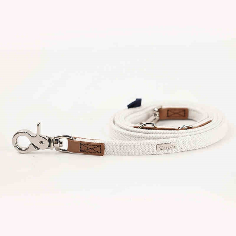 Pet Dog Hand Holding Rope