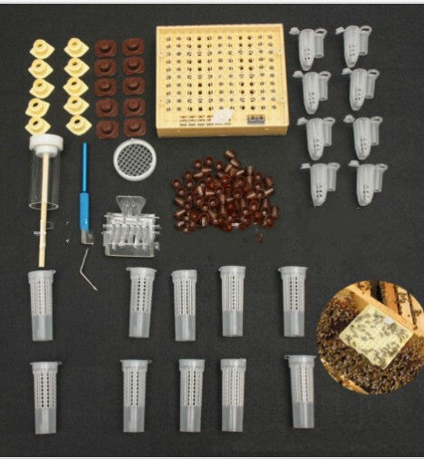 Bird Brown Base Abutment Cover