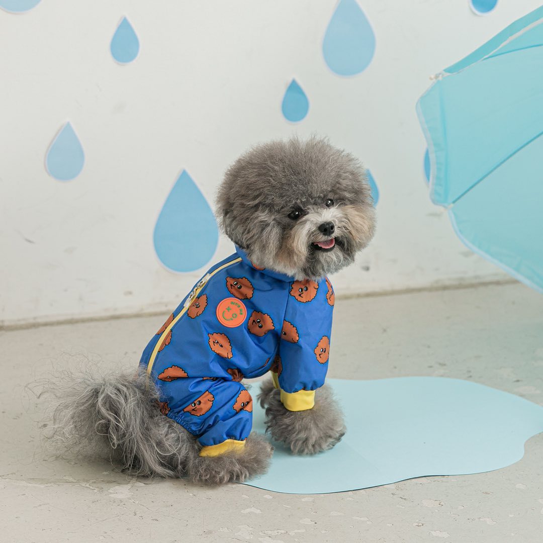 Fashion Pet Dog All-around Raincoat