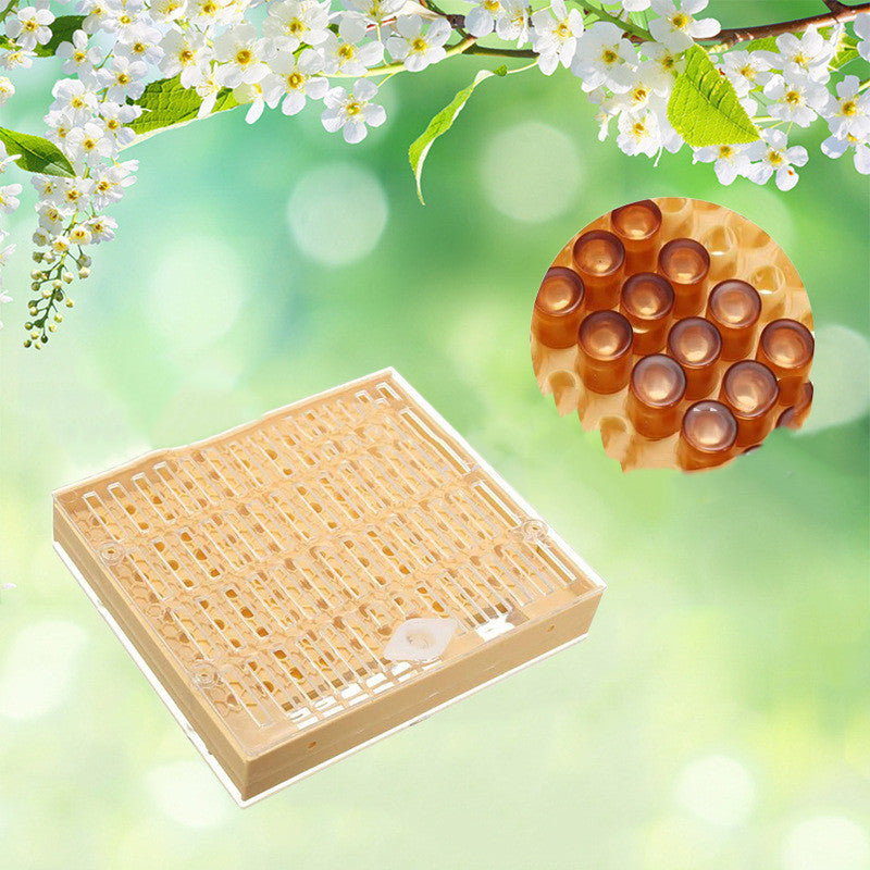 Bird Brown Base Abutment Cover