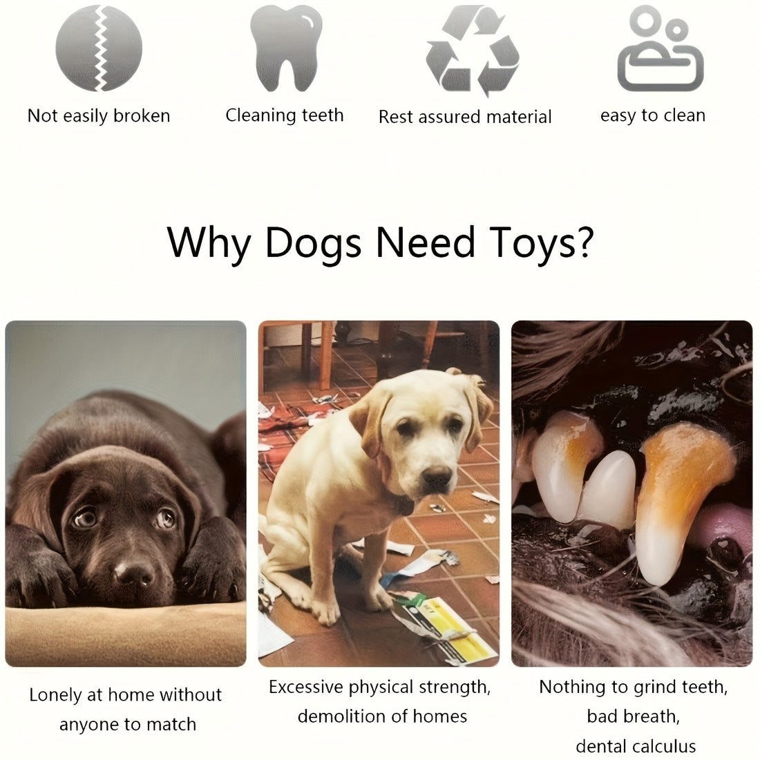 Plush Dog Chew Toys With Squeakers