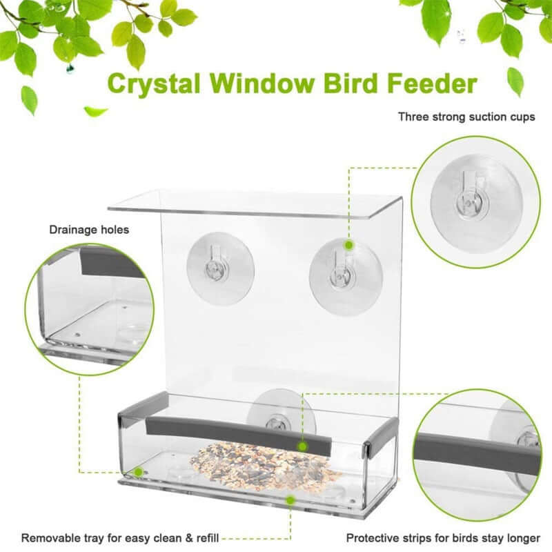 Acrylic Bird Feeder